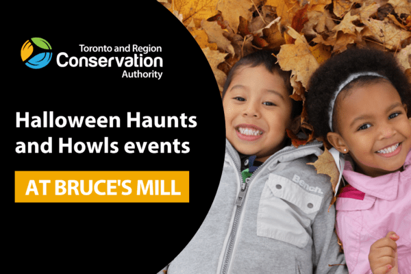 TRCA Bruces Mill Halloween