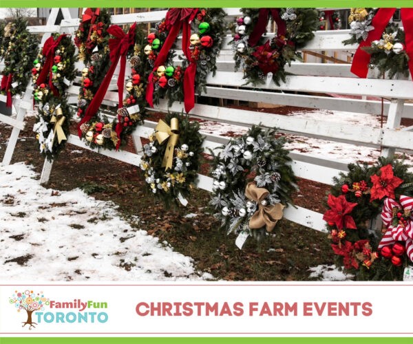 Christmas Farm Events