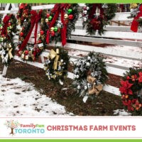 Christmas Farm Events Square