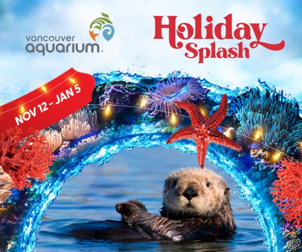 VanAqua 2024 Holioday Splash 1200x1000