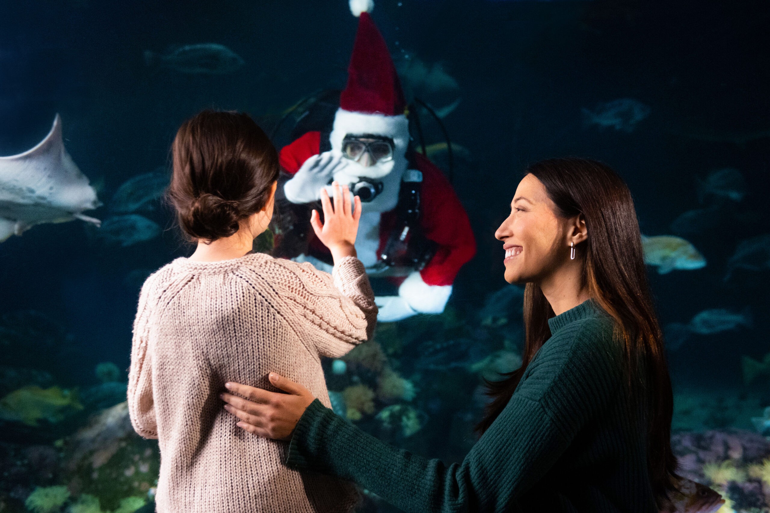 Vancouver Aquarium Holiday Splash 2024