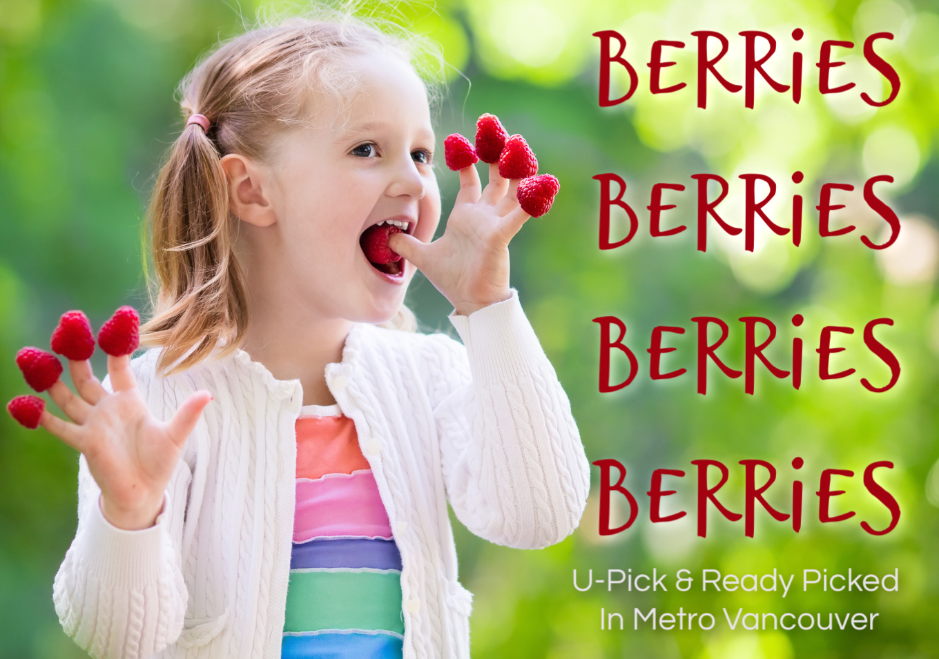 Berry Fields Around Metro Vancouver | Family Fun Vancouver