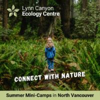 Lynn Canyon Ecology Centre Summer Camps 2024