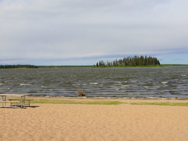 Explore Elk Island National Park in Alberta | Family Fun Canada