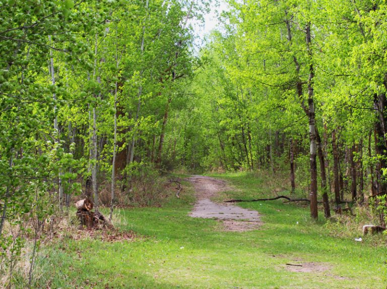 Explore Elk Island National Park in Alberta | Family Fun Canada