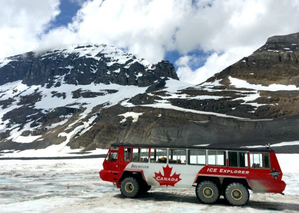 Jasper National Park From End to End: Experience the Best of the Park