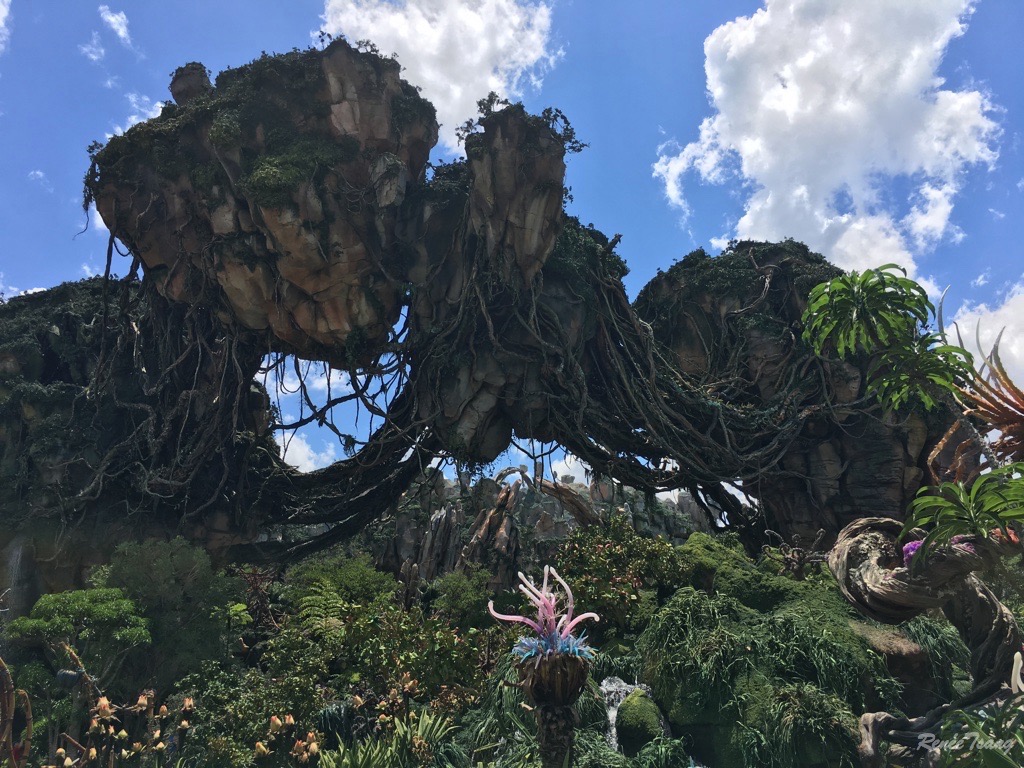 Pics: Pandora - World of Avatar at Disney's Animal Kingdom