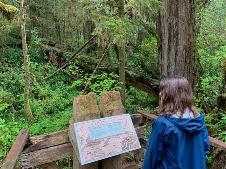 Tofino's Nature-Based Activities Guarantee Family Fun on Vancouver Island